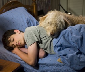 Diary of a Wimpy Kid