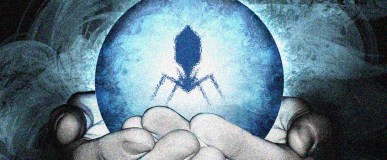 Thirteen of the Best for&nbsp;2013